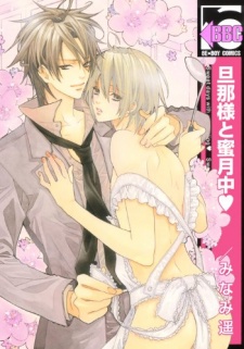 Sampul Manga Dannasama to Mitsugetsuchuu