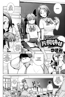 Sampul Manga Katagiri Shimai