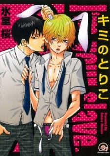 Sampul Manga Kimi no Toriko