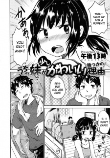 Sampul Manga Uchi no Imouto ga Sukoshi Kawaii Ikutsuka no Riyuu