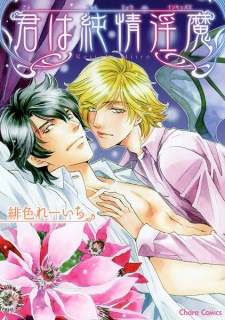 Sampul Manga Kimi wa Junjou Incubus