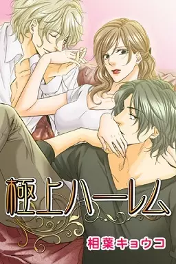 Gambar Cover Manga Gokujou Harlem
