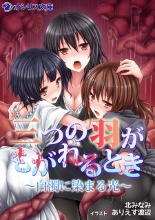 Sampul Manga Mitsu no Hane ga Mogareru Toki: Hakudaku ni Somaru Hikari