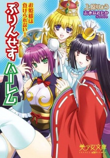 Sampul Manga Princess Harem: Ohimesama wa Makerarenai!