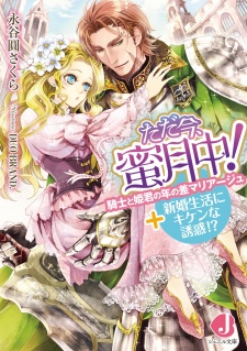 Sampul Manga Tadaima, Mitsugetsuchuu! Kishi to Himegimi no Toshi no Sa Marriage + Shinkon Seikatsu ni Kiken na Yuuwaku!?