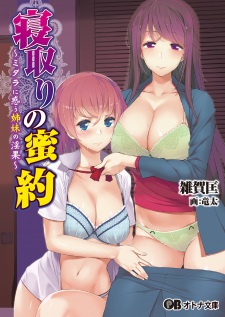 Sampul Manga Netori no Mitsuyaku: Midara ni Madou Shimai no Inga