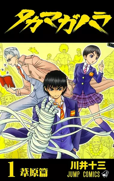 Gambar Cover Manga Takamagahara