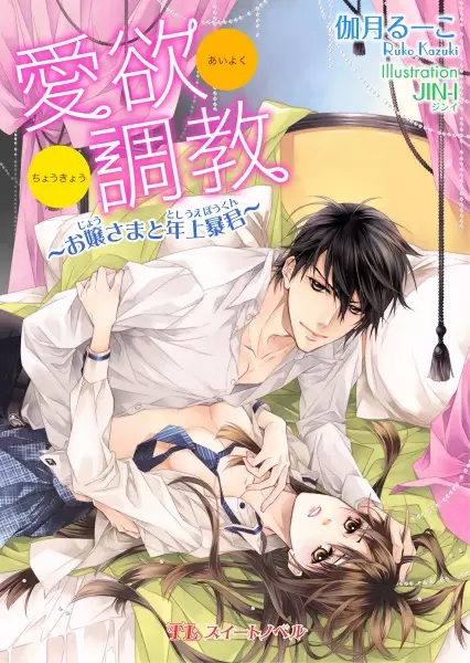 Gambar Cover Manga Aiyoku Choukyou: Ojousama to Toshiue Boukun