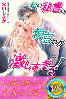 Sampul Manga Watashi no Hisho no Monowasure ga Hageshi Sugiru!