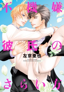 Sampul Manga Fukigen Kareshi no Saraikata