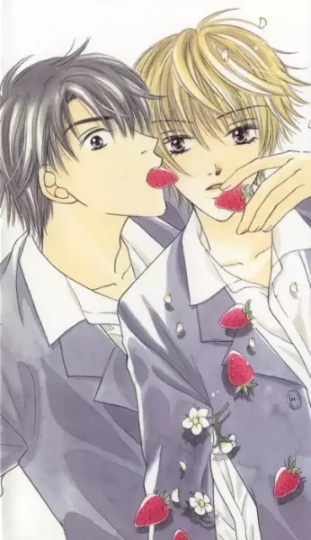 Gambar Cover Manga Kimi ni Suki to Ittekara