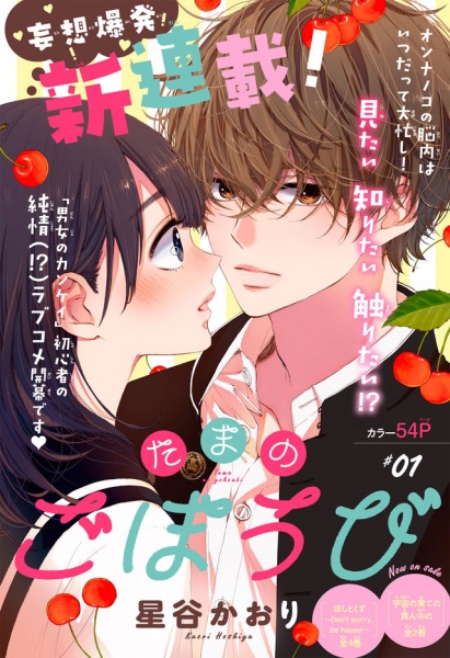 Manga image Tama no Gohoubi