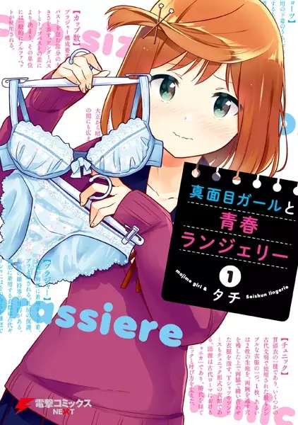 Gambar Cover Manga Majime Girl to Seishun Lingerie