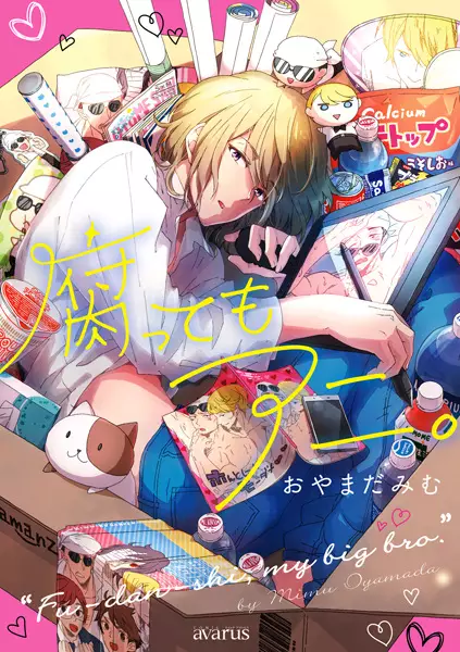 Gambar Cover Manga Kusattemo Ani.