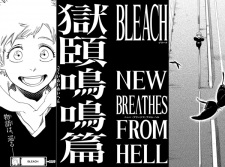 Sampul Manga Bleach: Gokui Meimei-hen