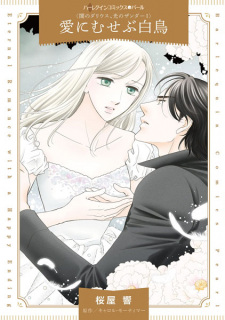 Sampul Manga Yami no Darius, Hikari no Xander