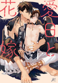 Sampul Manga Aijitsu to Hanayome