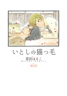 Sampul Manga Itoshi no Nekokke