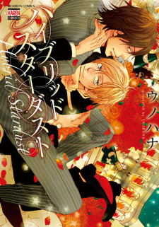 Sampul Manga Hybrid Stardust