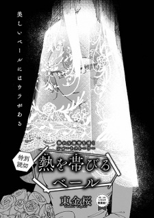 Sampul Manga Netsu wo Obiru Veil