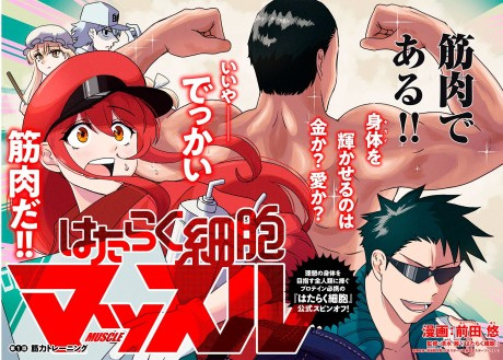 Gambar Manga Hataraku Saibou Muscle