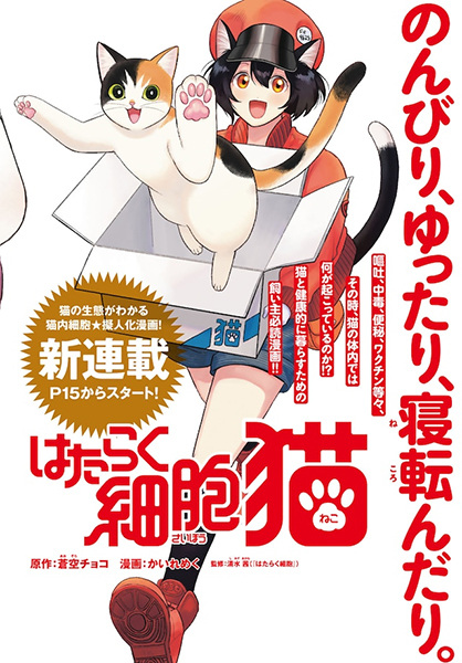 Manga image Hataraku Saibou Neko