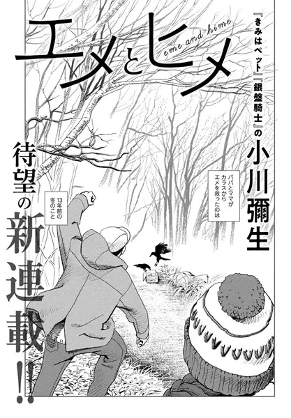 Gambar Cover Manga Eme to Hime