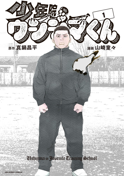 Manga cover Shounenin Ushijima-kun