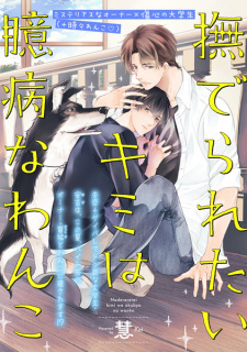 Gambar Manga Naderaretai Kimi wa Okubyou na Wanko