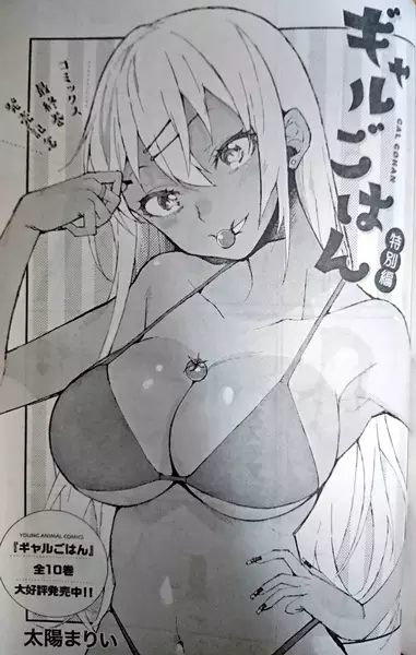 Gambar Cover Manga Gal Gohan Tokubetsu-hen