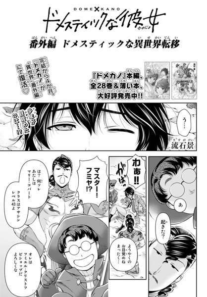 Gambar Cover Manga Domestic na Kanojo Bangai-hen: Domestic na Isekai Teni
