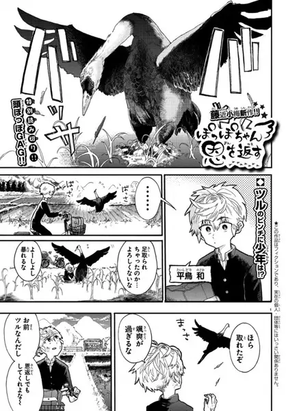 Gambar Cover Manga Poppo-chan On wo Kaesu