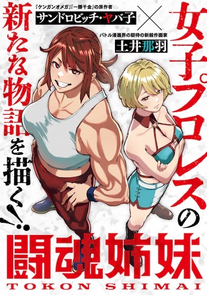 Manga cover Toukon Shimai