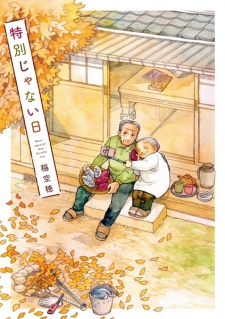 Sampul Manga Tokubetsu ja Nai Hi