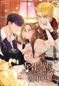 Sampul Manga Wish Upon a Husband