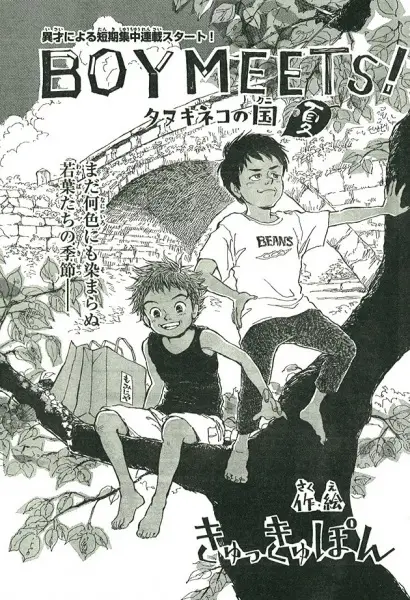 Gambar Cover Manga Boy Meets! Tanukineko no Kuni