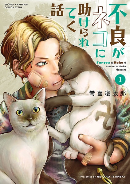 Gambar Cover Manga Furyou ga Neko ni Tasukerareteku Hanashi