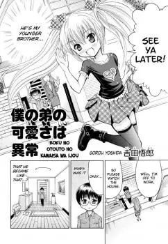 Gambar Cover Manga Boku no Otouto no Kawaisa wa Ijou