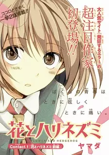 Gambar Cover Manga Hana to Harinezumi
