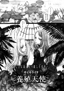 Sampul Manga Youshoku Tenshi