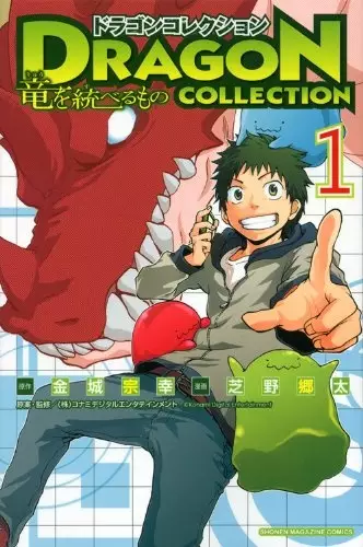 Gambar Cover Manga Dragon Collection: Ryuu wo Suberumono