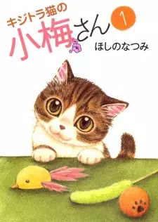 Gambar Manga Kijitora Neko no Koume-san