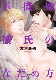 Sampul Manga Fukigen Kareshi no Nadamekata