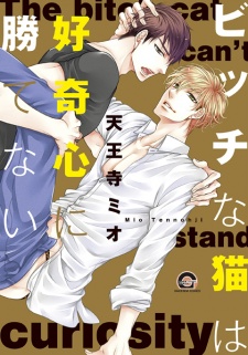 Sampul Manga Bitch na Neko wa Koukishin ni Katenai