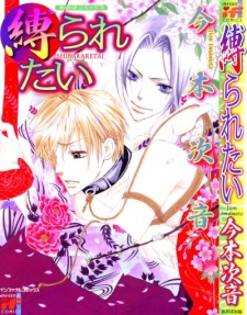 Sampul Manga Shibararetai