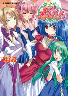 Sampul Manga Himesama ni Muchuu!!