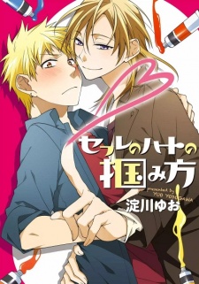 Sampul Manga Sex Friend no Heart no Tsukamikata