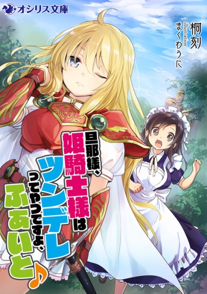 Gambar Cover Manga Dannasama, Himekishi-sama wa Tsundere tte Yatsu desu yo, Fight♪