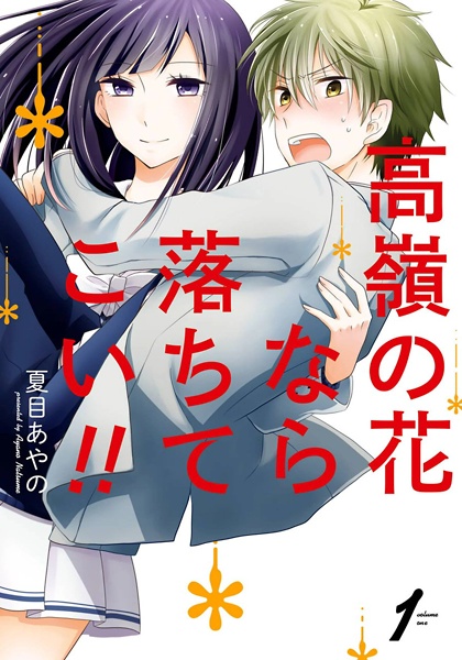 Gambar Cover Manga Takane no Hana nara Ochitekoi!!