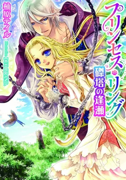 Gambar Cover Manga Princess Ring: Tattou no Ouse